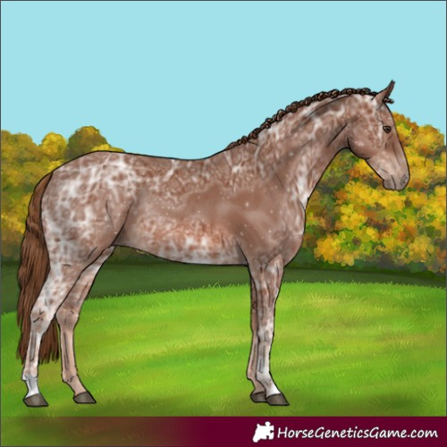 Horse Color:Chestnut Ice 