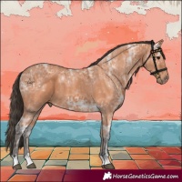 Horse Color:Bay Ice 