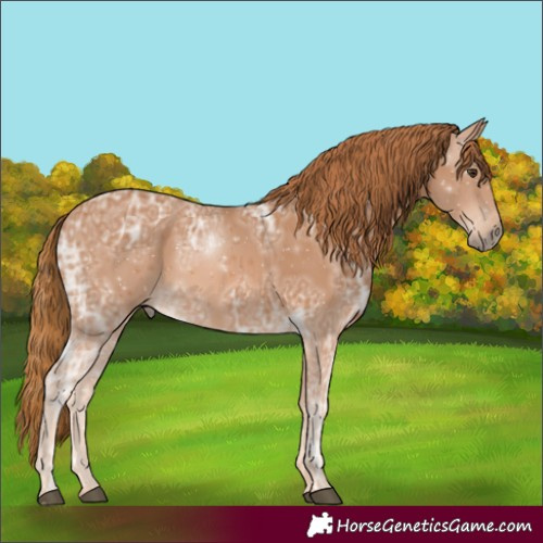 Horse Color:Chestnut Ice 