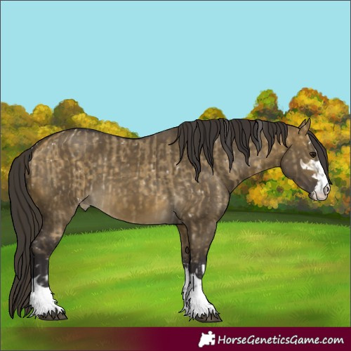 Horse Color:Buckskin Dun Snowflake Varnish and Buckskin Dun Varnish
