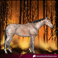 Horse Color:Bay Ice