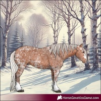Horse Color:Silver Bay Ice