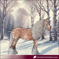 Horse Color:Silver Bay Ice