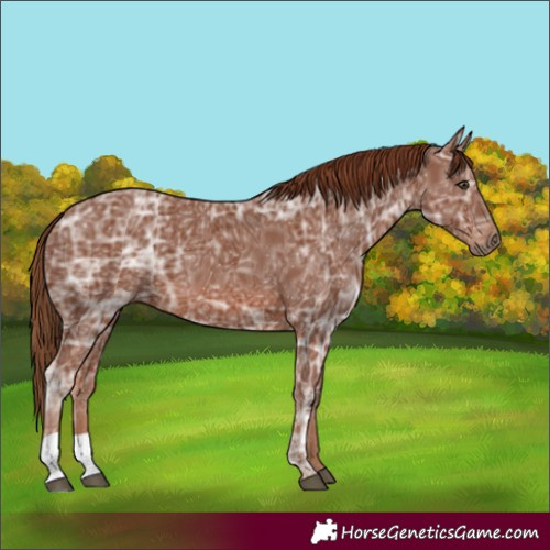 Horse Color:Chestnut Ice 