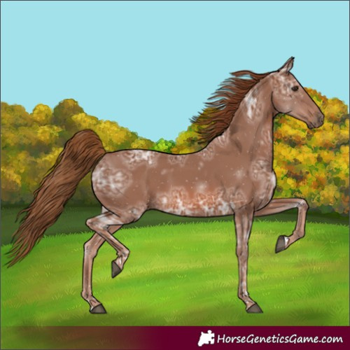 Horse Color:Chestnut Ice 