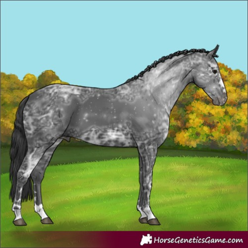 Horse Color:Black Ice 