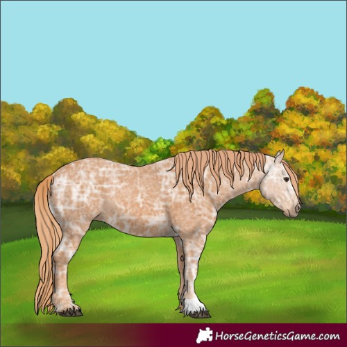 Horse Color:Chestnut Ice 