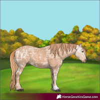 Horse Color:Chestnut Ice 