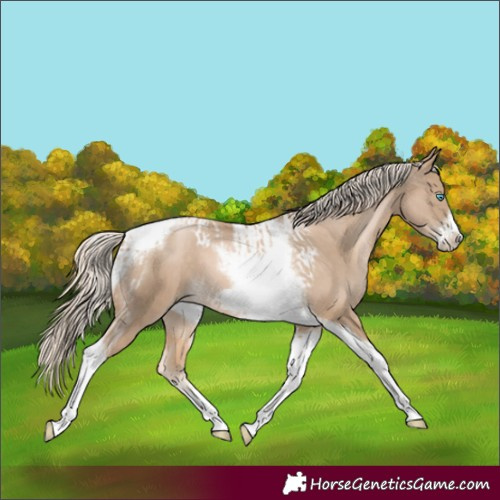 Horse Color:Chocolate Palomino Pearl Tobiano Frame  and Chocolate Palomino Pearl Tobiano Frame 
