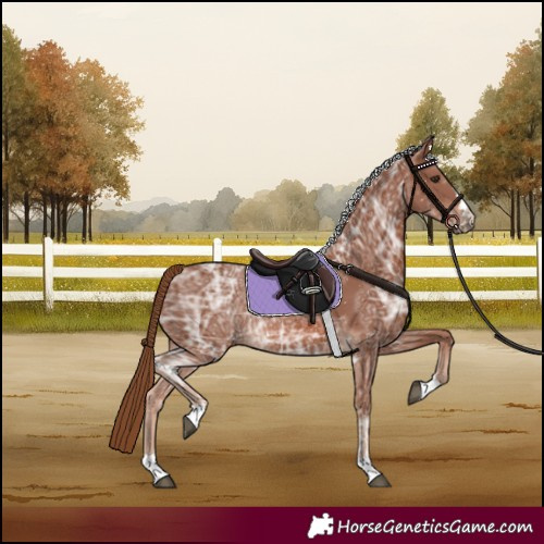 Horse Color:Chestnut Ice 