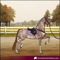 Horse Color:Chestnut Ice