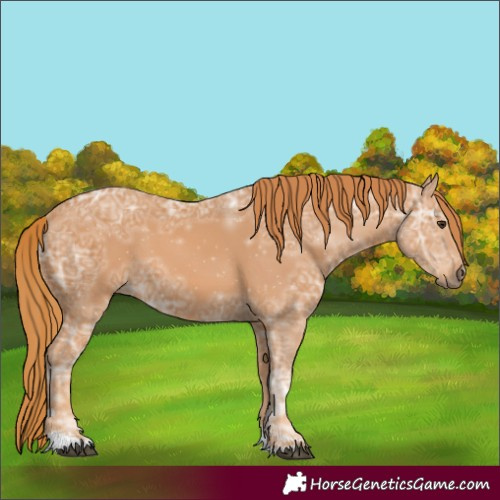 Horse Color:Chestnut Ice 