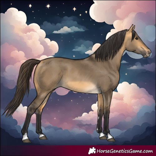 Horse Color:Buckskin Dun