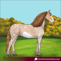 Horse Color:Chestnut Ice Frame