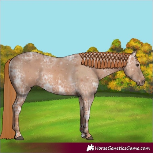 Horse Color:Chestnut Ice