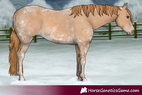 Horse Color:Chestnut Ice 