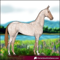 Horse Color:Red Ice Roan 