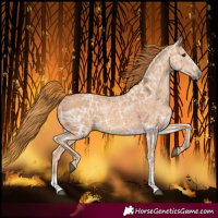 Horse Color:Chestnut Ice 