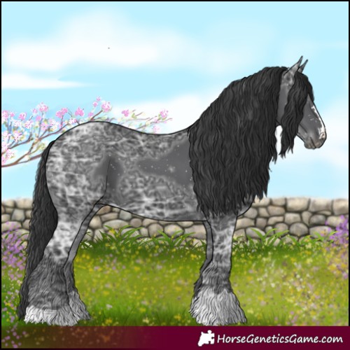 Horse Color:Black Ice