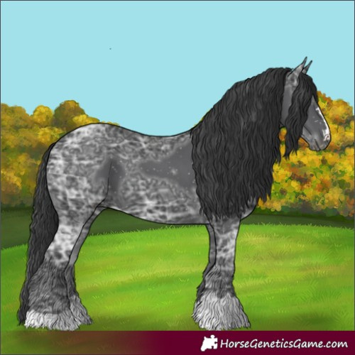 Horse Color:Black Ice