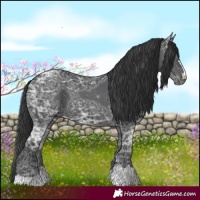 Horse Color:Black Ice