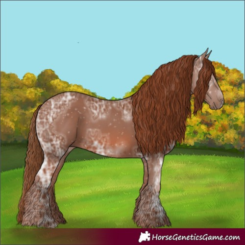 Horse Color:Chestnut Ice