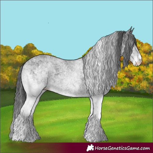 Horse Color:White Spotted Black 