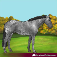 Horse Color:Black Ice