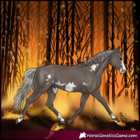 Horse Color:Silver Black Frame 