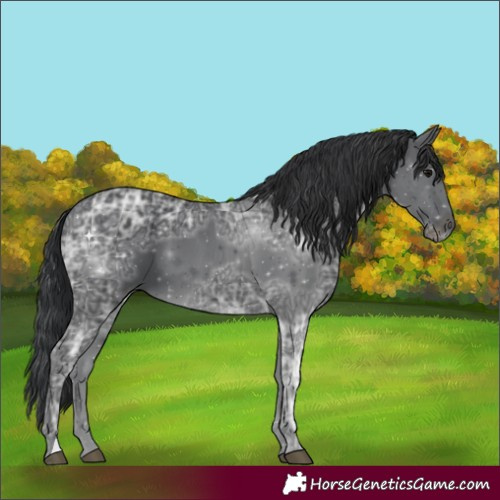 Horse Color:Black Ice