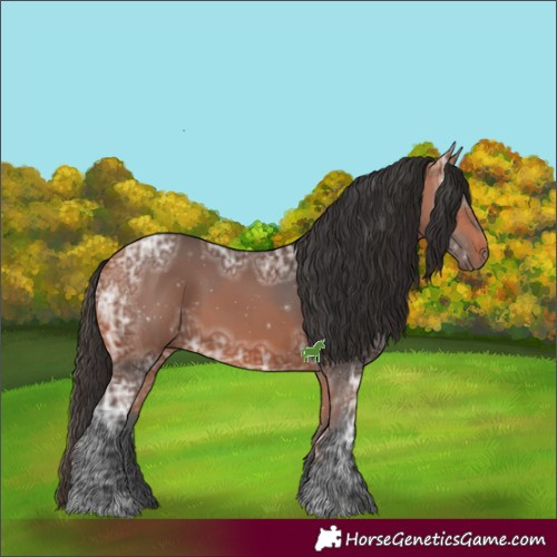 Horse Color:Bay Ice