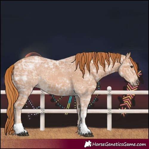 Horse Color:Chestnut Ice 