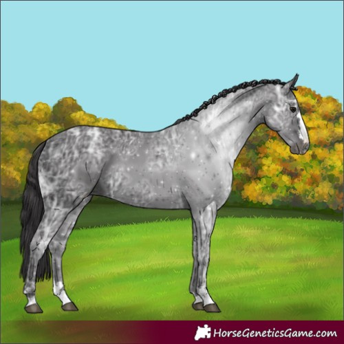 Horse Color:Smoky Black Ice 