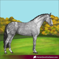 Horse Color:Smoky Black Ice