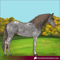 Horse Color:Liver Chestnut Ice 