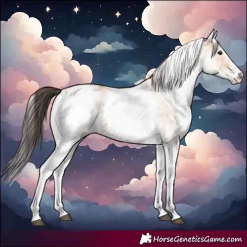 Horse Color:White Spotted Bay Dun Rabicano  and White Spotted Bay Dun Rabicano 