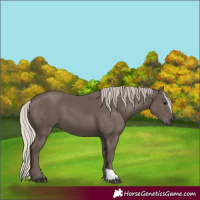 Horse Color:Silver Black 