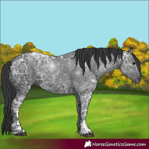 Horse Color:Black Ice