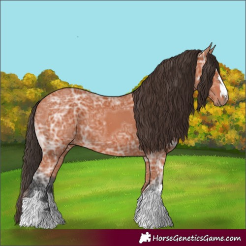 Horse Color:Bay Ice