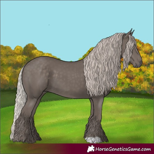 Horse Color:Silver Black 