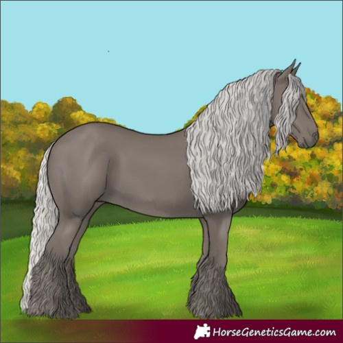 Horse Color:Silver Smoky Black