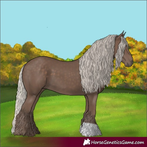 Horse Color:Silver Black
