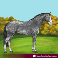 Horse Color:Black Ice Splash 
