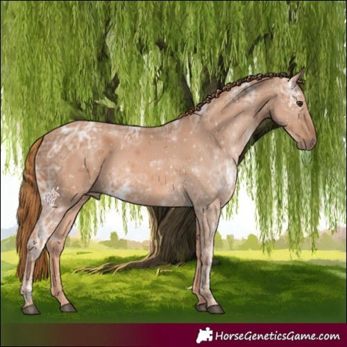 Horse Color:Chestnut Ice
