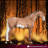 Horse Color:Silver Sable Champagne Frame