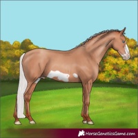 Horse Color:Silver Sable Champagne Frame 