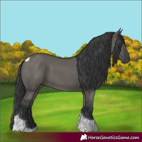 Horse Color:Grullo Tobiano 