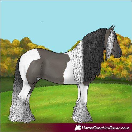 Horse Color:Grullo Tobiano 