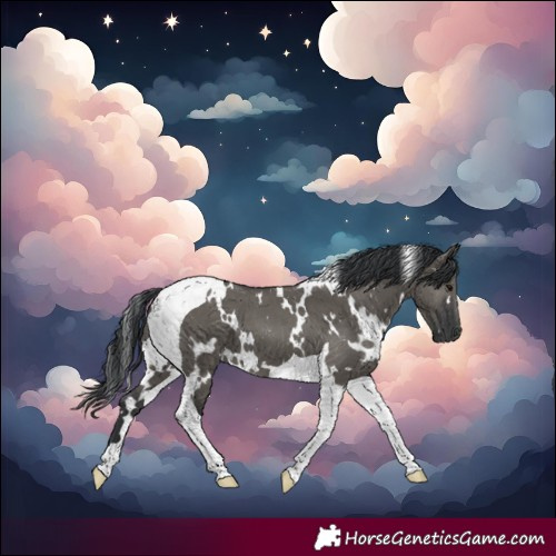 Horse Color:White Spotted Grullo Tobiano 