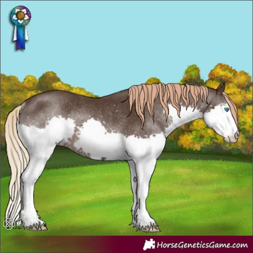 Horse Color:Liver Chestnut Splash Rabicano 